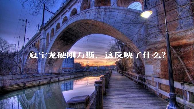 夏宝龙硬刚万斯，这反映了什么？