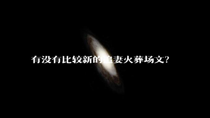有没有比较新的追妻火葬场文？