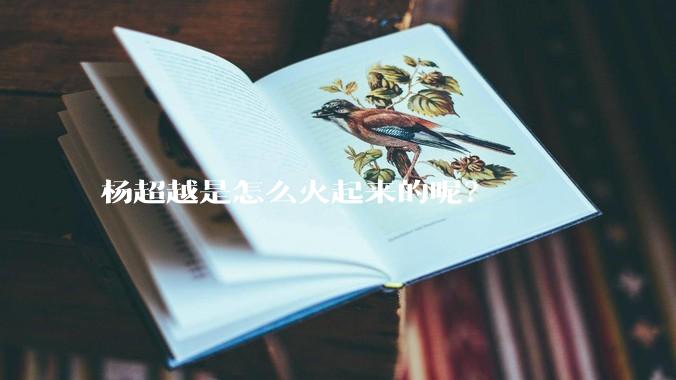 杨超越是怎么火起来的呢？