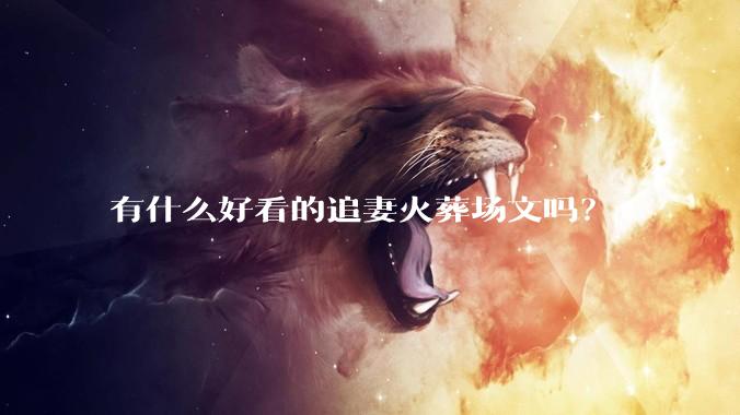 有什么好看的追妻火葬场文吗？