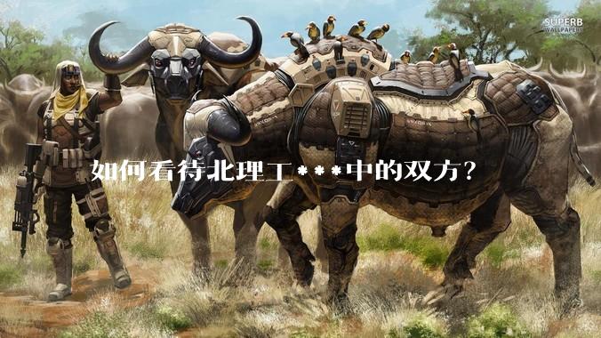如何看待北理工***中的双方？