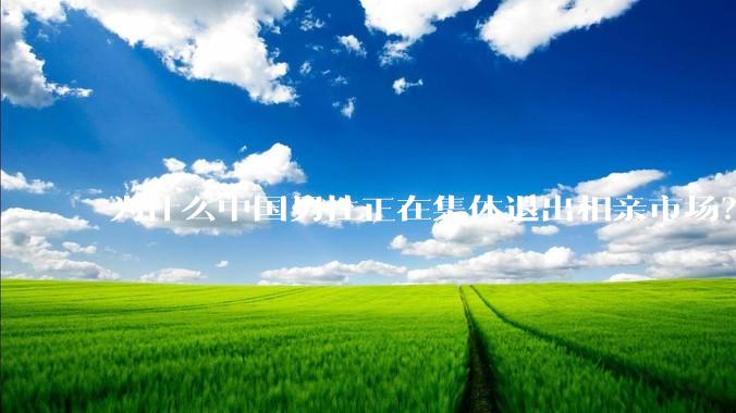为什么中国男性正在集体退出相亲市场？