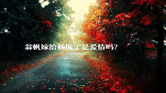 翁帆嫁给杨振宁是爱情吗？