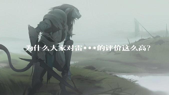 为什么大家对雷***的评价这么高？