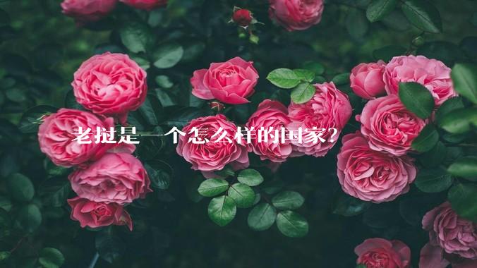 老挝是一个怎么样的国家？