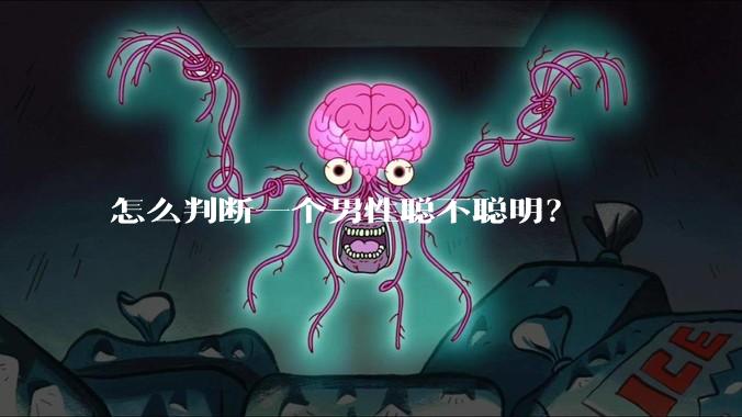 怎么判断一个男性聪不聪明？