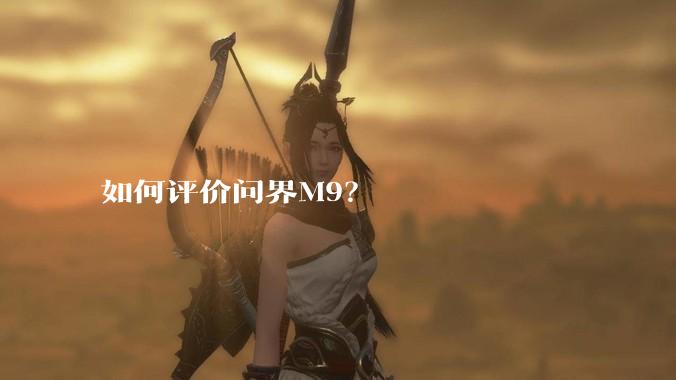如何评价问界M9？
