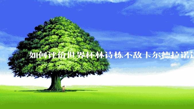 如何评价世界杯林诗栋不敌卡尔德拉诺这场比赛？
