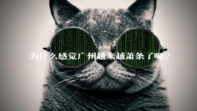 为什么感觉广州越来越萧条了呢?