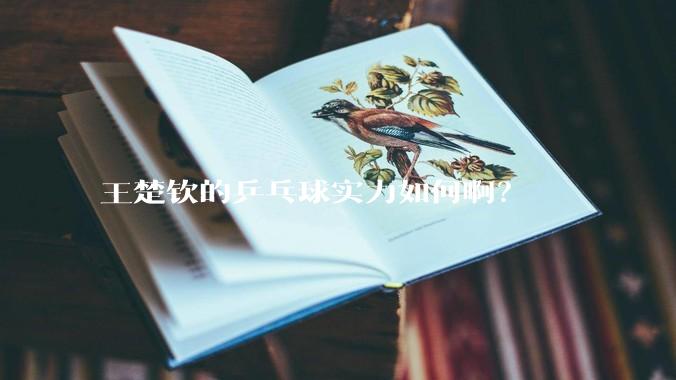 王楚钦的乒乓球实力如何啊？