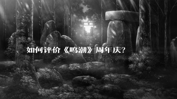 如何评价《鸣潮》周年庆？