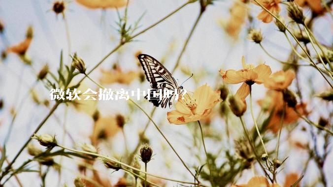 微软会撤离中国吗？