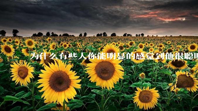 为什么有些人你能明显的感觉到他很聪明?