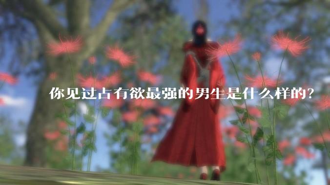 你见过占有欲最强的男生是什么样的？