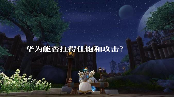 华为能否扛得住饱和攻击？