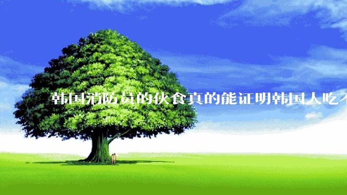 韩国消防员的伙食真的能证明韩国人吃不起肉吗？
