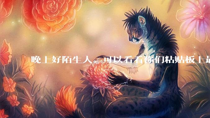 晚上好陌生人。可以看看你们粘贴板上最近一次复制了什么吗?